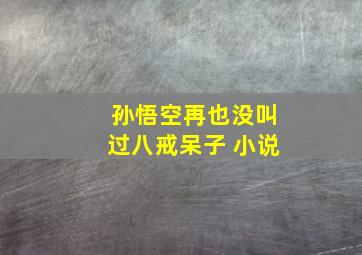 孙悟空再也没叫过八戒呆子 小说